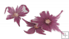 Nail-Art sušené květy